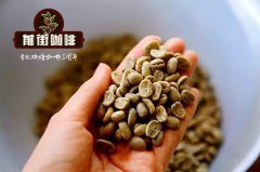 多明尼加墨翠咖啡种植气候咖啡风味 月牙庄园精品典藏咖啡海拔