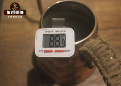 手冲咖啡水温标准 不同烘焙度的咖啡风味区别冲煮温度参数比例