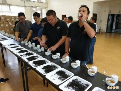 日月潭红茶斗茶「残酷舞台」 茶叶集评好坏全都露