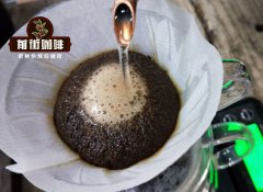 什么是完美的咖啡冲泡温度和完美的饮用温度？锥形与平面过滤器