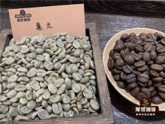 哥伦比亚慧兰咖啡豆和耶加雪啡口感风味有什么不同 手冲建议参数
