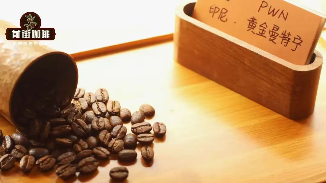印尼曼特宁的草本味从何而来？为何曼特宁的咖啡风味变淡了？PWN黄金曼特宁与林东曼特宁咖啡的差异在哪？
