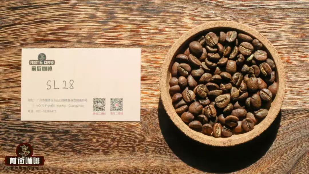 肯尼亚咖啡品种介绍｜SL28咖啡的风味特征是什么？SL28手冲咖啡好喝吗？