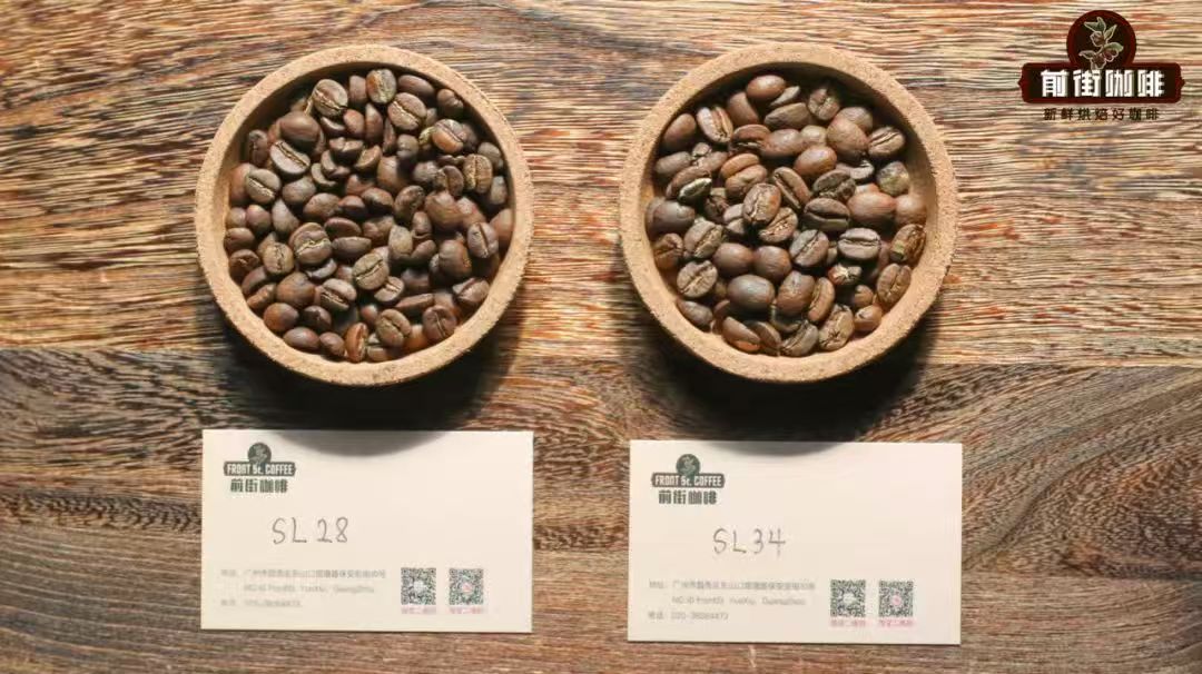 肯尼亚主要种植什么咖啡品种？肯尼亚SL系列咖啡从何而来？肯尼亚锡卡产区咖啡有何独特风味口感？