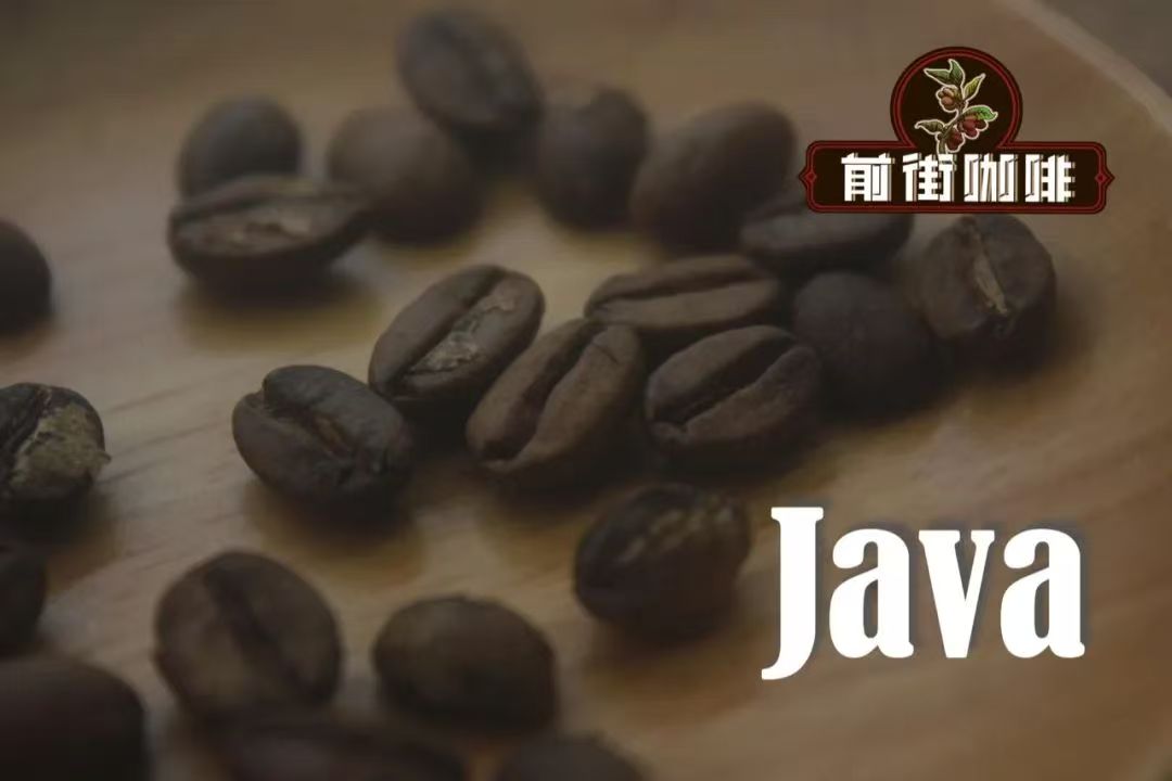 爪哇、爪哇种、爪哇咖啡分别是什么？爪哇咖啡是爪哇种吗？Java爪哇种是什么品种？