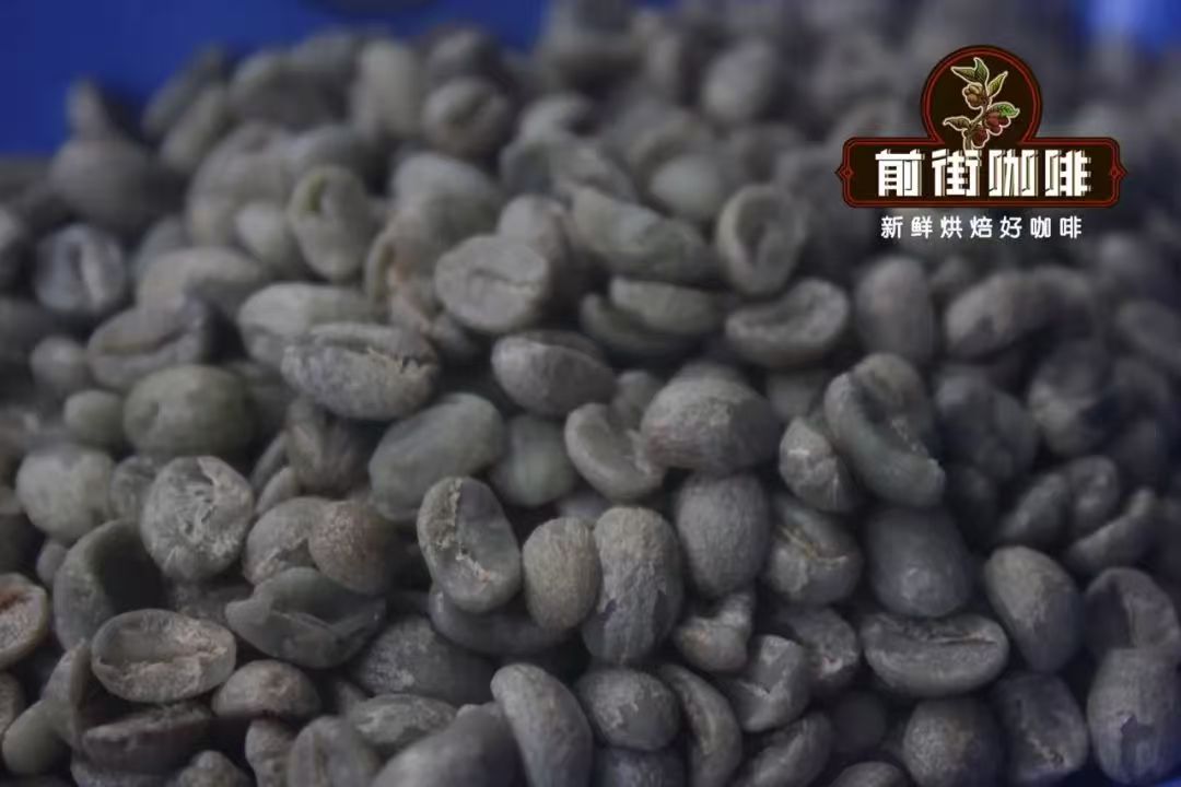卡蒂姆Catimor品种介绍｜卡蒂姆咖啡是罗布斯塔种吗？云南卡蒂姆的风味特点是什么？