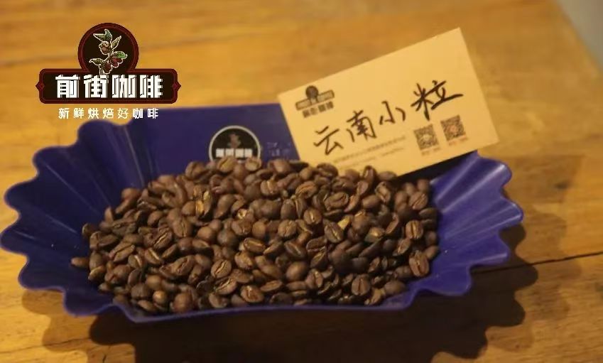 云南咖啡风味｜中国咖啡豆产区有哪些？云南种植的咖啡品种是什么？云南豆的风味口感如何？