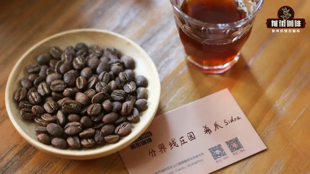 哥伦比亚分界线庄园希爪是什么品种？希爪与波旁是同一品种吗？希爪手冲咖啡的风味口感如何？