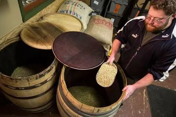什么是酒桶发酵处理法？酒桶处理的咖啡豆带有酒精吗？使用酒桶处理法的有哪些庄园？酒桶发酵的具体流程是什么？