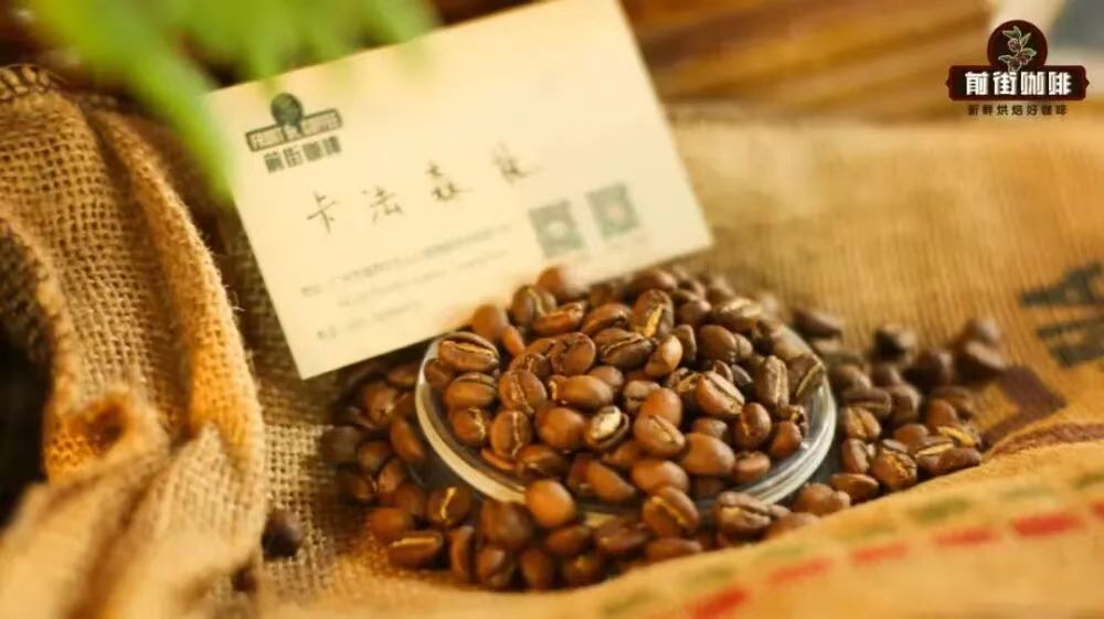 埃塞俄比亚咖啡种植模式是什么？咖啡发源地卡法森林有何特点？产自卡法森林的咖啡具有哪些风味口感？