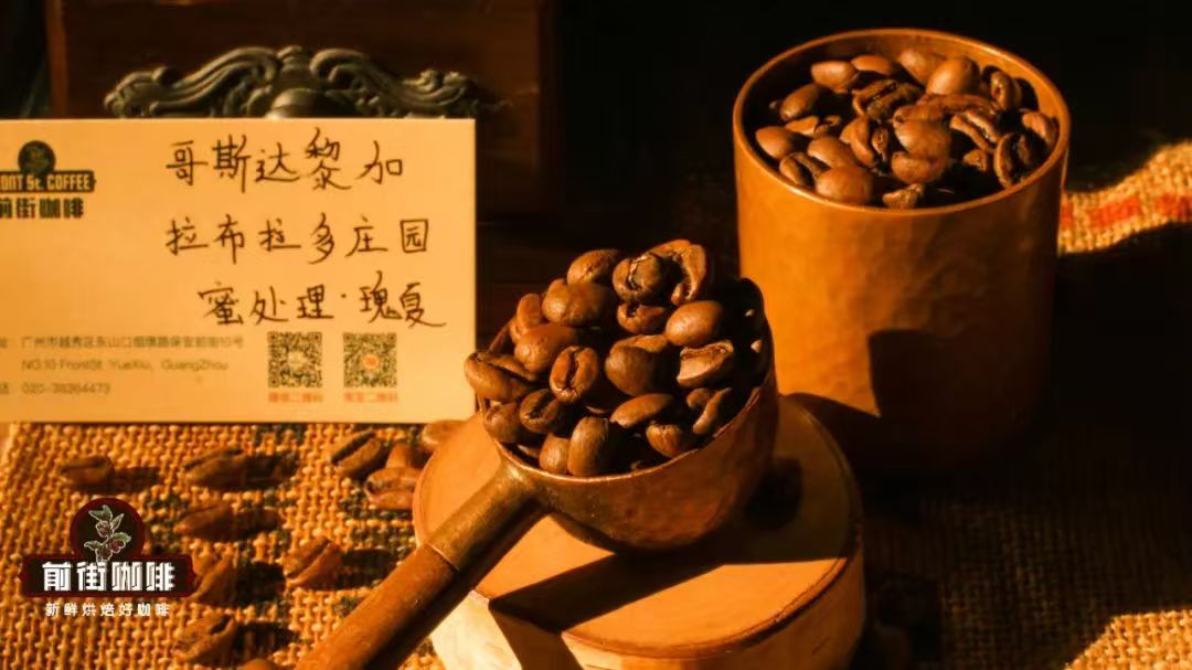 哥斯达黎加圣伊西德罗拉布拉多庄园发展史介绍｜拉布拉多庄园蜜处理瑰夏的风味及口感如何