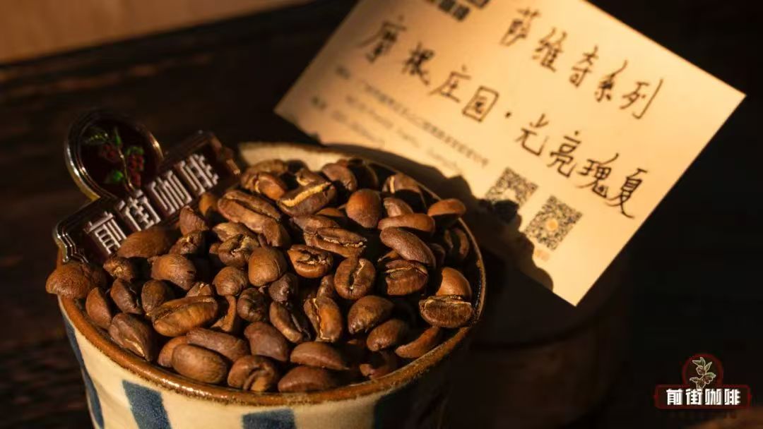 巴拿马黛博拉庄园有什么独特之处？萨维奇咖啡项目是什么？二氧化碳浸渍处理法的瑰夏咖啡好喝吗？