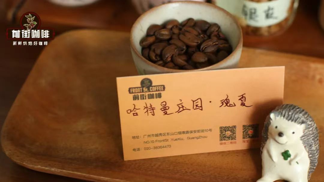 巴拿马沃肯产区哈特曼庄园介绍｜哈特曼庄园种植什么咖啡品种？哈特曼瑰夏具有哪些风味特点？