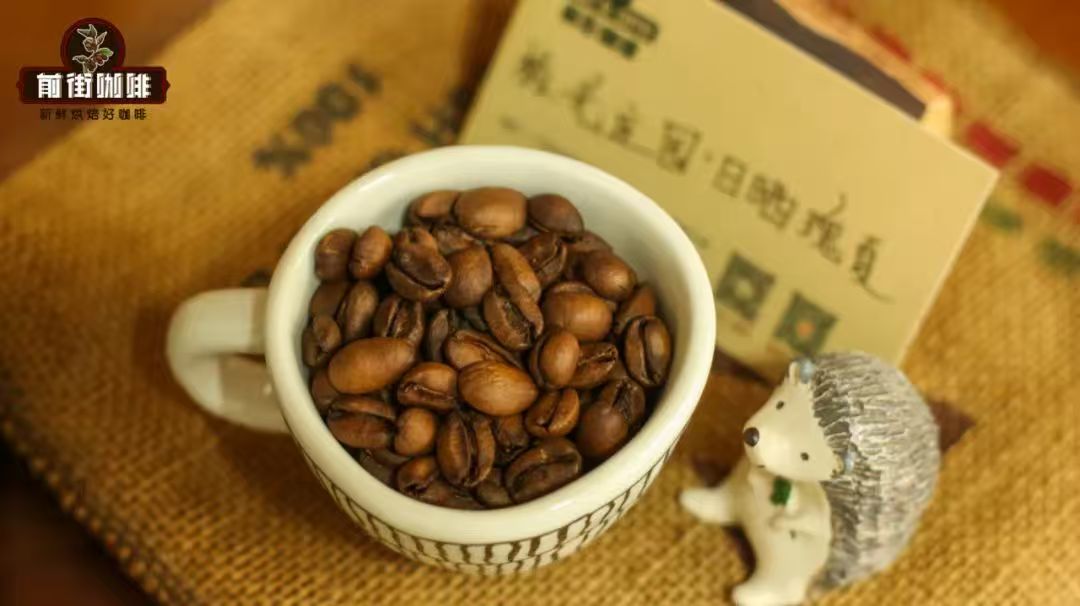 什么是「铁人瑰夏」？巴拿马极光庄园Finca Auromar有什么特色？极光庄园的瑰夏喝起来如何？