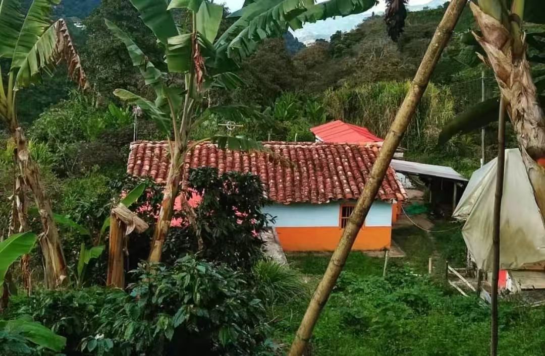 哥伦比亚希望庄园Cafe Granja La Esperanza的起源与发展历程｜希望庄园瑰夏有什么风味特点？