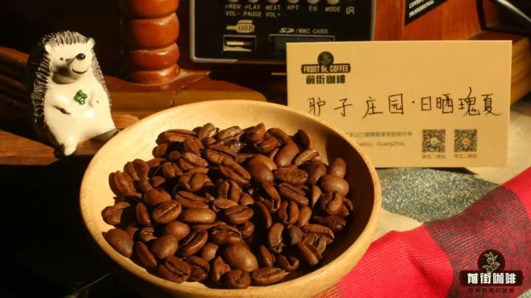 巴拿马驴子庄园的名字由来及发展历程｜驴子庄园日晒瑰夏入口有何风味特点？